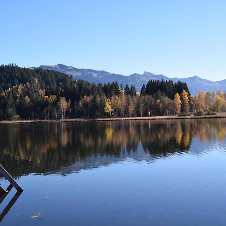 Ferienwohnung Haus Brügglbach Kirchberg in Tirol Exterior foto