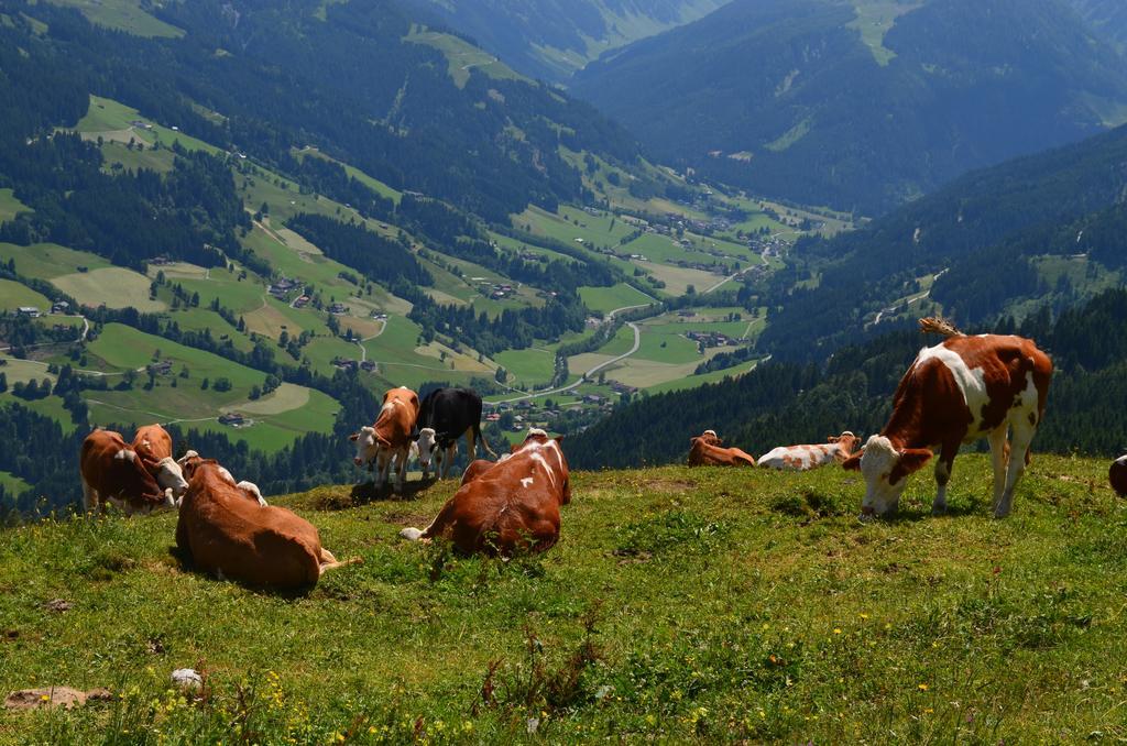 Ferienwohnung Haus Brügglbach Kirchberg in Tirol Exterior foto