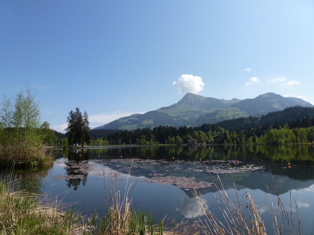 Ferienwohnung Haus Brügglbach Kirchberg in Tirol Exterior foto